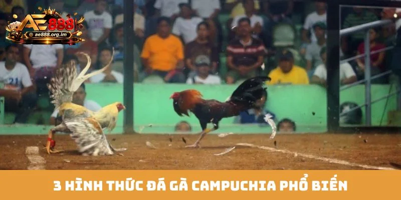 3 hình thức đá gà Campuchia phổ biến