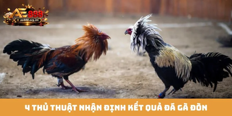 4 thủ thuật nhận định kết quả đá gà đòn