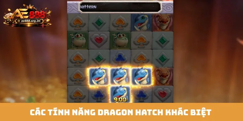 Các tính năng Dragon Hatch khác biệt