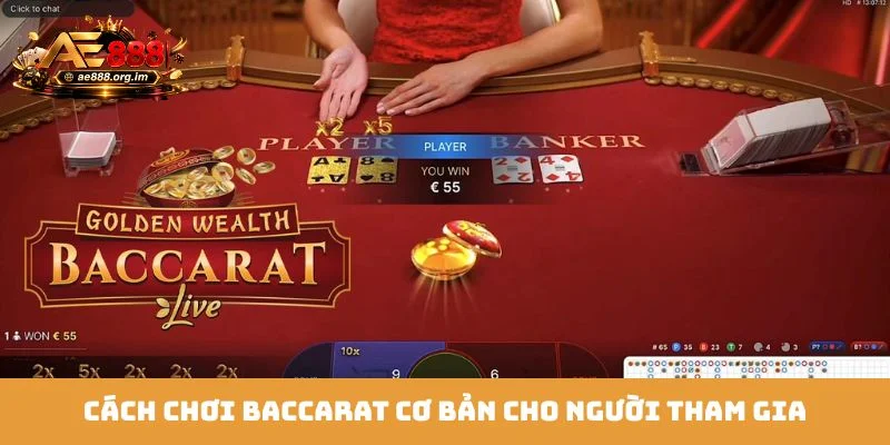 Cách chơi Baccarat cơ bản cho người tham gia