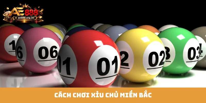 xỉu chủ miền bắc