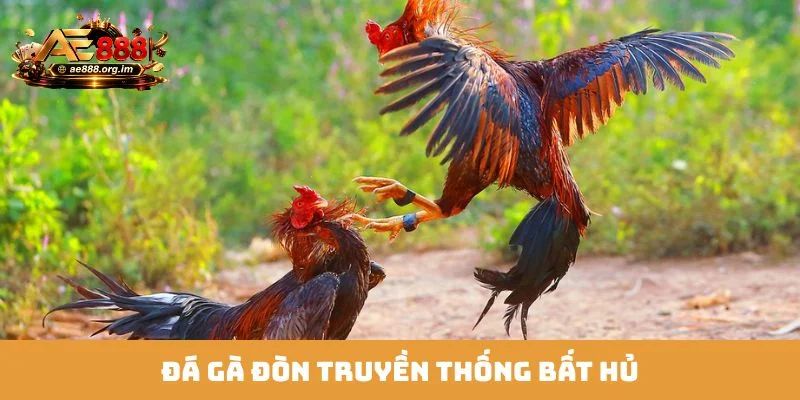 Đá gà đòn truyền thống bất hủ