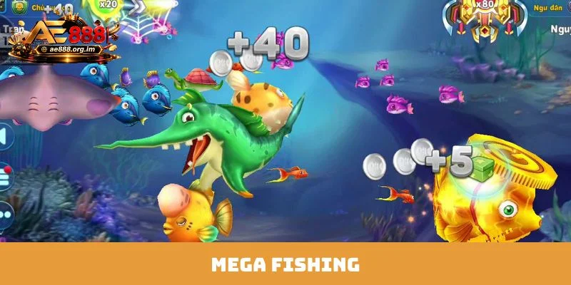Mega Fishing