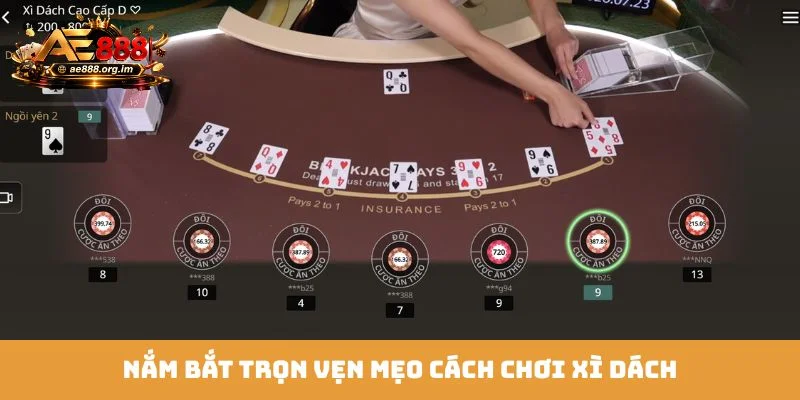 Nắm bắt trọn vẹn mẹo cách chơi Xì Dách